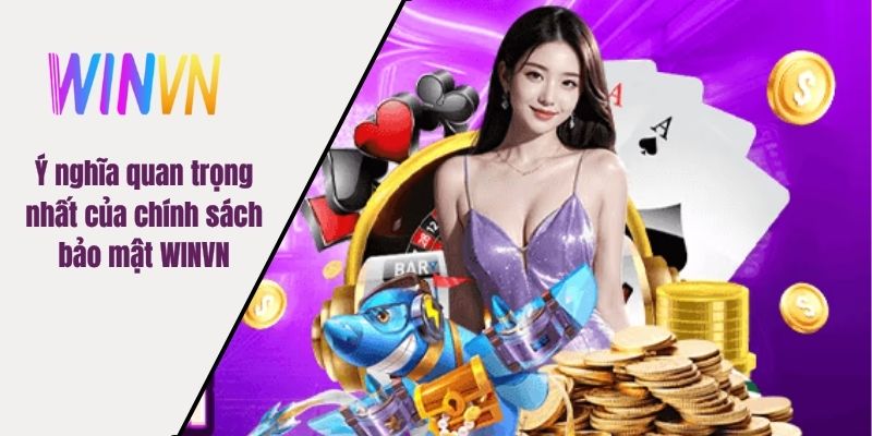 Ý nghĩa quan trọng nhất của chính sách bảo mật WINVN
