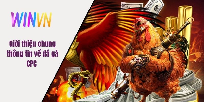 Giới thiệu chung thông tin về đá gà CPC