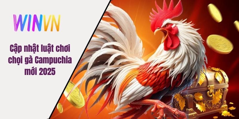 Cập nhật luật chơi chọi gà Campuchia mới 2025