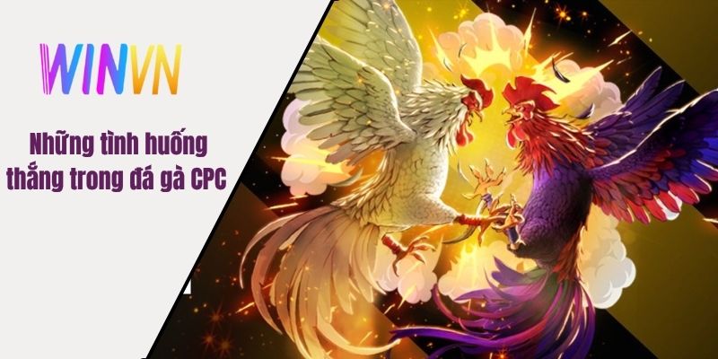 Những tình huống thắng trong đá gà CPC