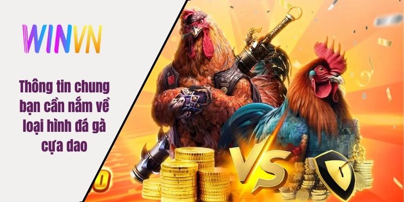 Thông tin chung bạn cần nắm về loại hình đá gà cựa dao