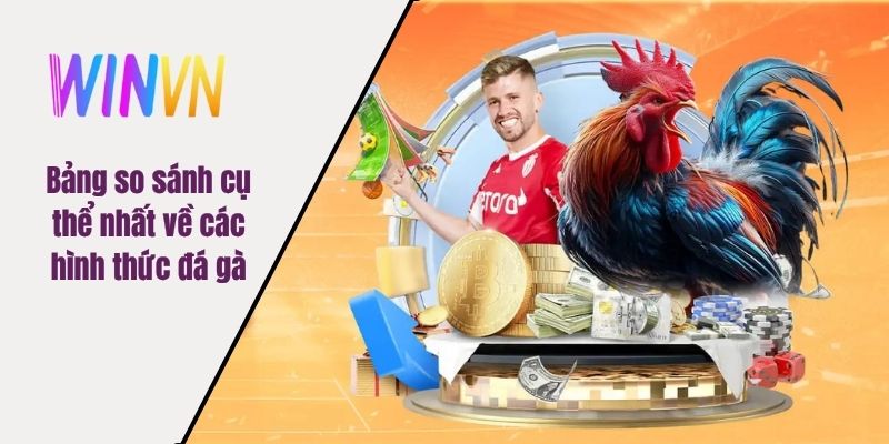 Bảng so sánh cụ thể nhất về các hình thức đá gà