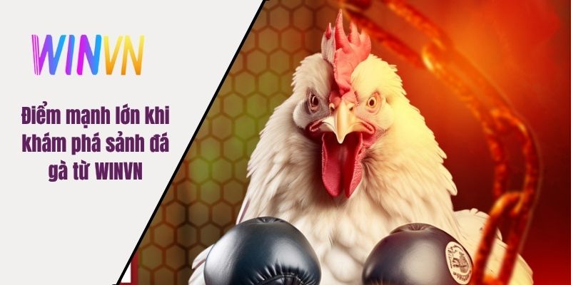 Điểm mạnh lớn khi khám phá sảnh đá gà từ WINVN