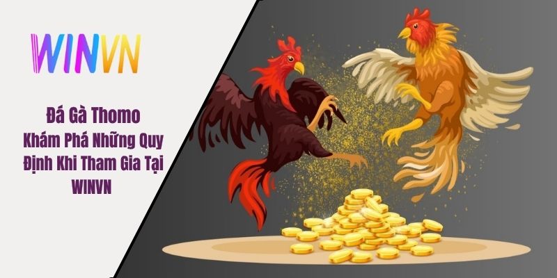 đá gà Thomo