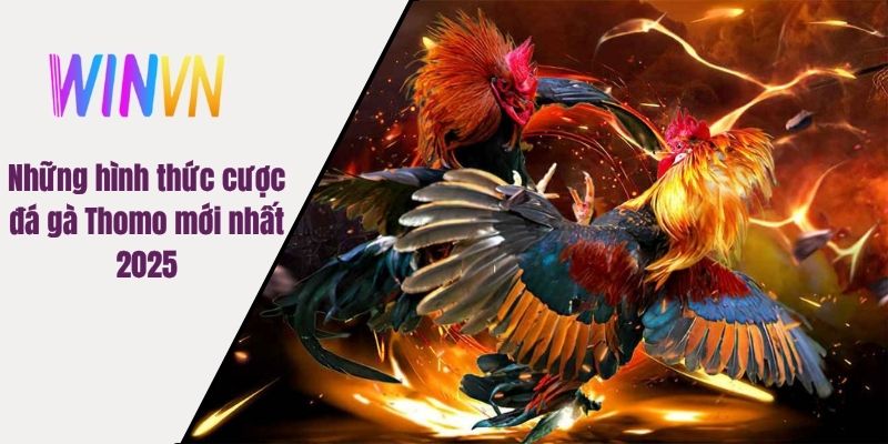 Những hình thức cược đá gà Thomo mới nhất 2025
