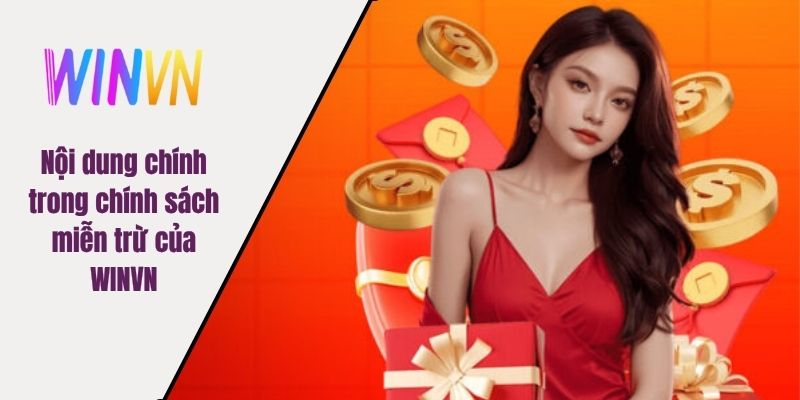 Nội dung chính trong chính sách miễn trừ của WINVN