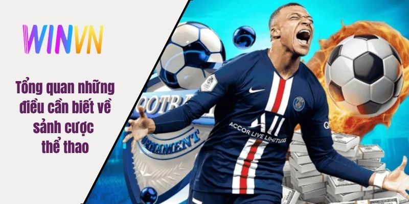 Tổng quan những điều cần biết về sảnh cược thể thao